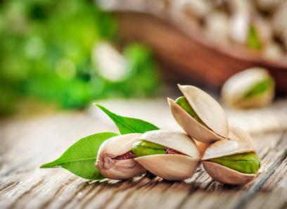 pistacia atlantica with complete explanations and familiarization 2 ..