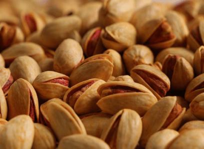 pistacia atlantica with complete explanations and familiarization 3 …